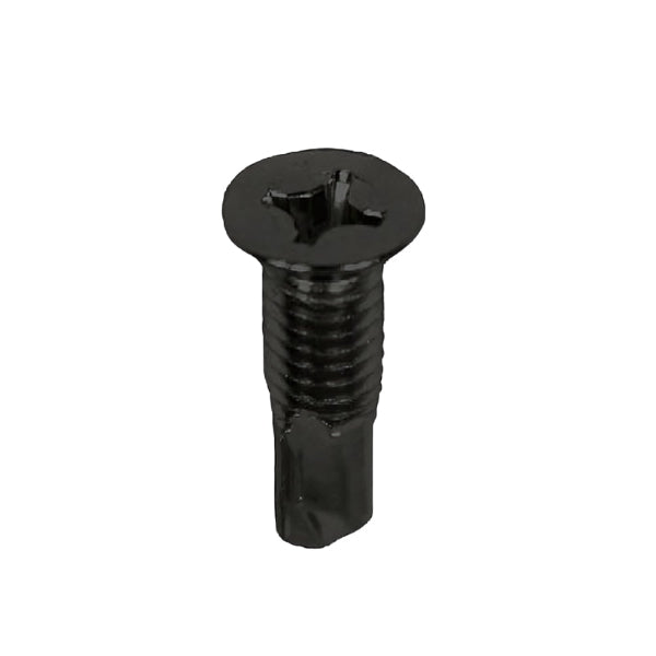 Close-up of MAJOR LS-31-25 machine screws with black zinc plating