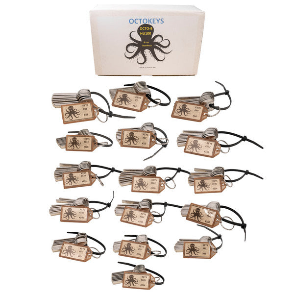 OCTOKEYS - HU100 Cut Laser Key Origination System