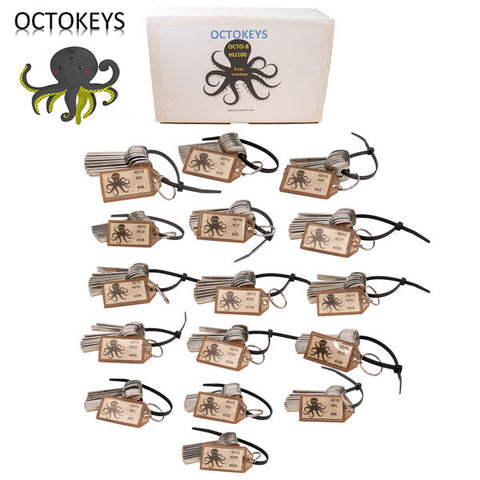 OCTOKEYS - HU100 Cut Laser Key Origination System OCTOKEYS - HU100 Cut Laser Key Origination System