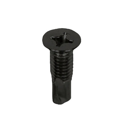 Close-up of MAJOR LS-31-25 machine screws with black zinc plating