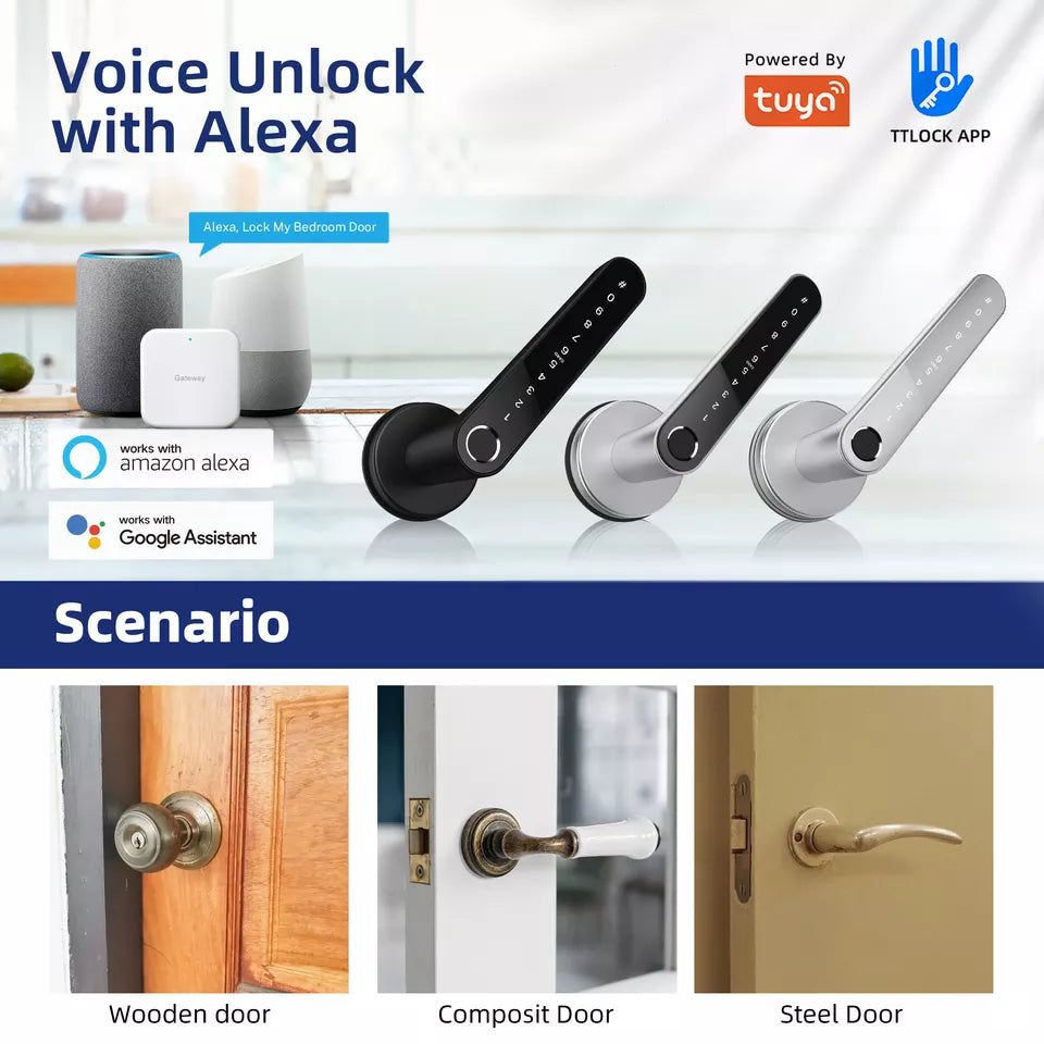 DeGuard Pro - Premium Electronic Keyless Entry Smart Code Lever - N31B - Bluetooth / Fingerprint / RFID / PIN / Wi-Fi - IP55 (Optional Finish)