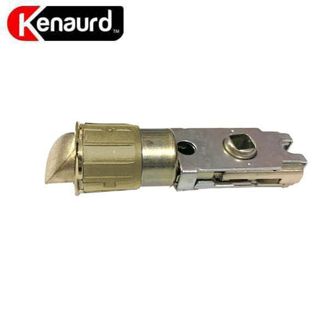 Adjustable Drive-In Latch - Polished Brass (Gold)