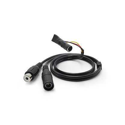 IC Realtime - Microphone - Audio Microphone