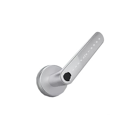 DeGuard Pro - Premium Electronic Keyless Entry Smart Code Lever - N31B - Bluetooth / Fingerprint / RFID / PIN / Wi-Fi - IP55 (Optional Finish)