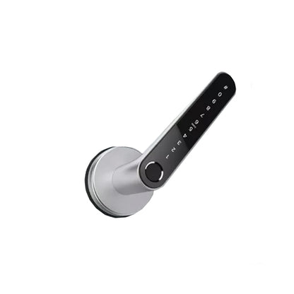 DeGuard Pro - Premium Electronic Keyless Entry Smart Code Lever - N31B - Bluetooth / Fingerprint / RFID / PIN / Wi-Fi - IP55 (Optional Finish)